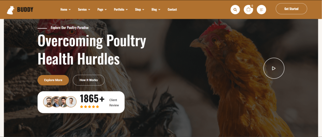 Buddy – Poultry Farm
