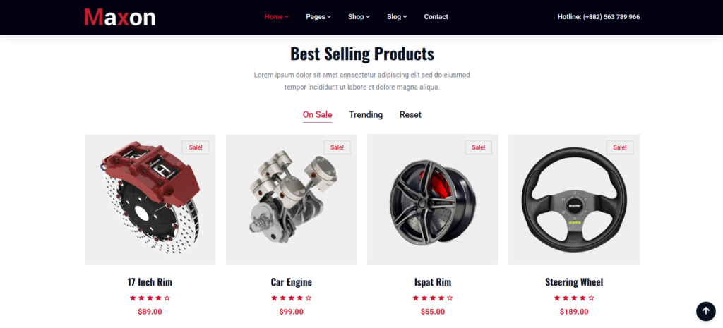 Maxon – Auto Parts Shop