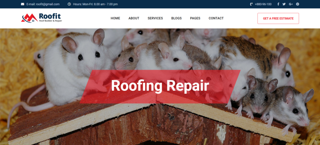 Roofit – Roofing Services